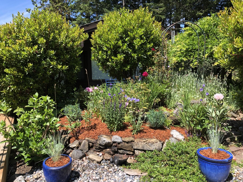 New planting +&nbsp;mulch